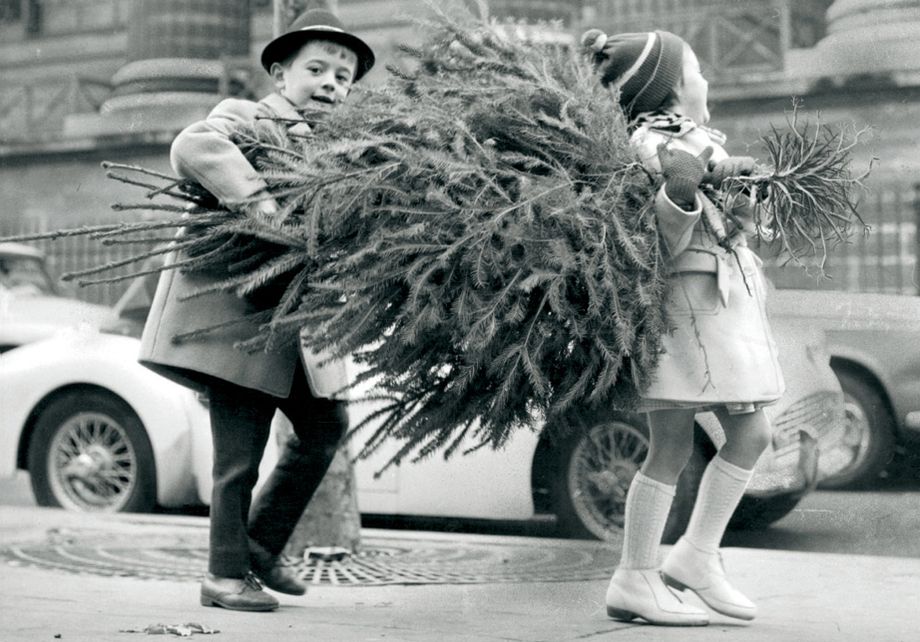 Children Carrying Xmas Tree Boxed Holiday Half Notecards