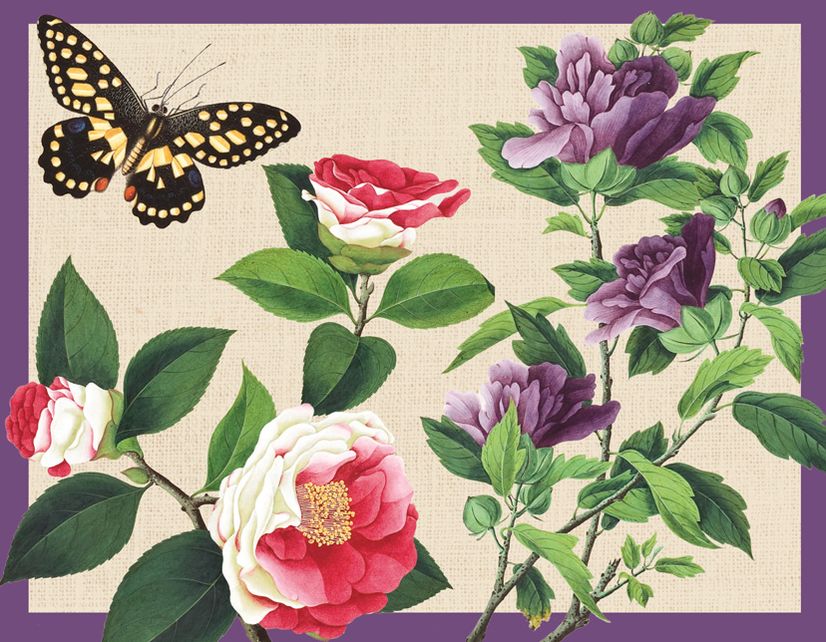 Winterthur Butterflies Desk Set