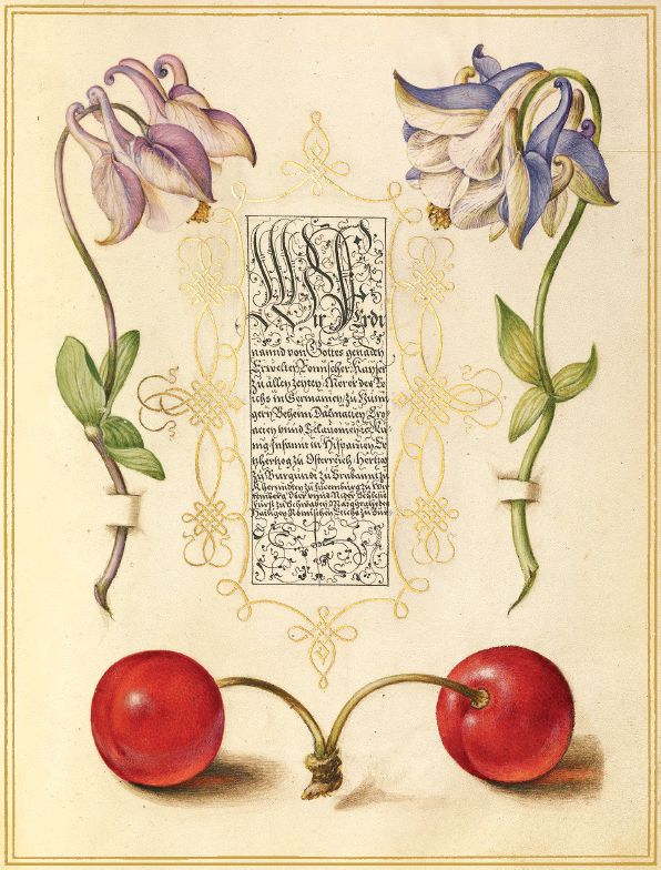 Mira Calligraphiae Monumenta Portfolio Notes