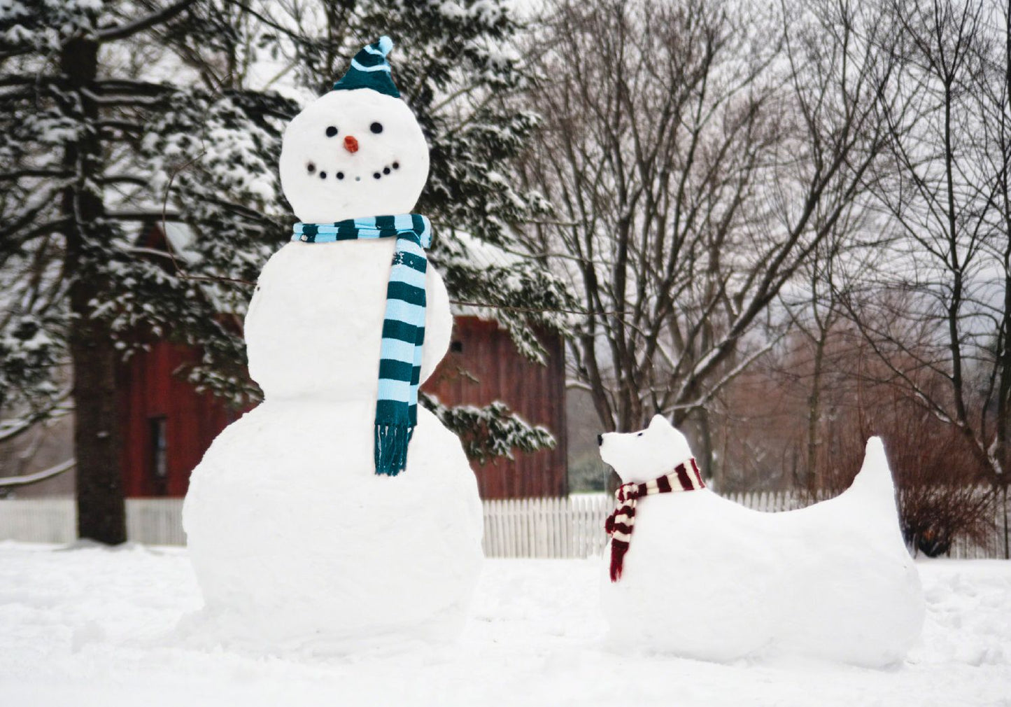 Snowman & Snow Dog Boxed Holiday Half Notecards