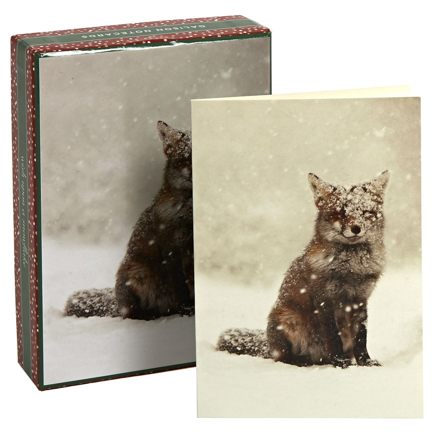Snow Fox Boxed Holiday Half Notecards