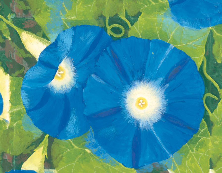 Painted Garden Keepsake Boxed Notecards