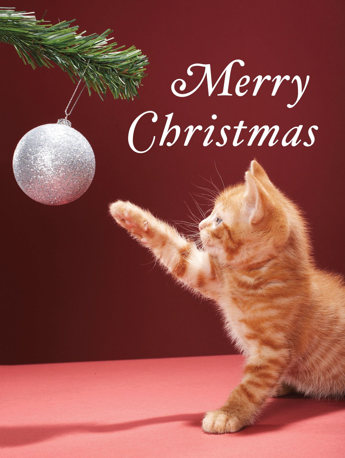 Christmas Kitty Boxed Holiday Full Notecards