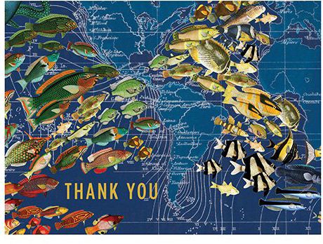 Wendy Gold Ocean Life Luxe Thank You Notes