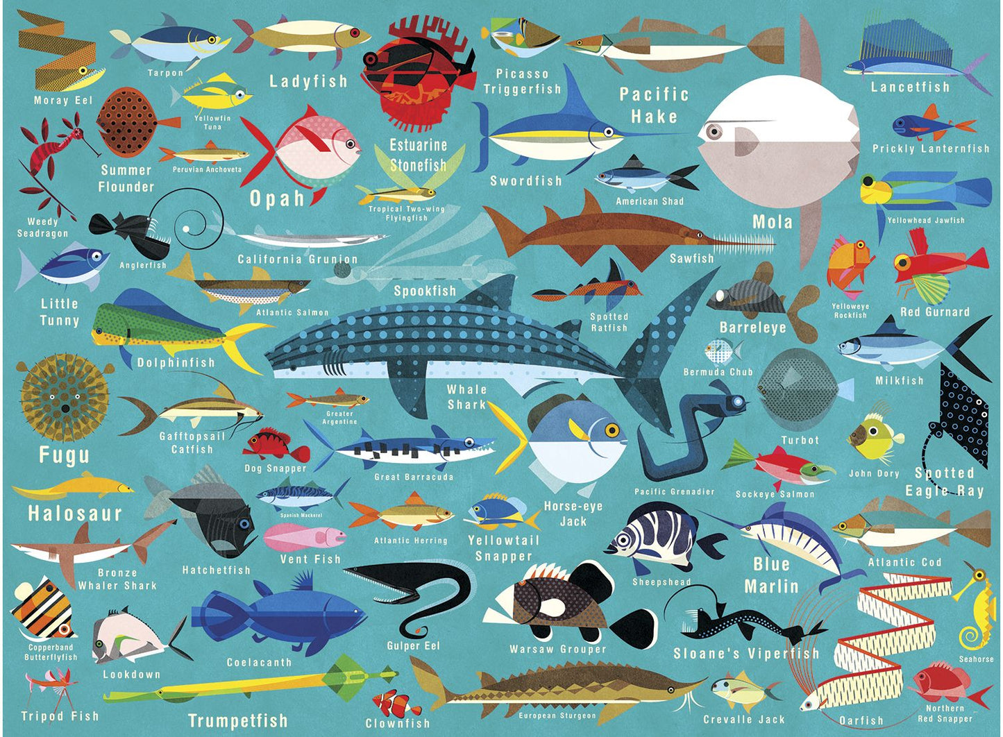 Ocean Life 1000 Piece Family Puzzle