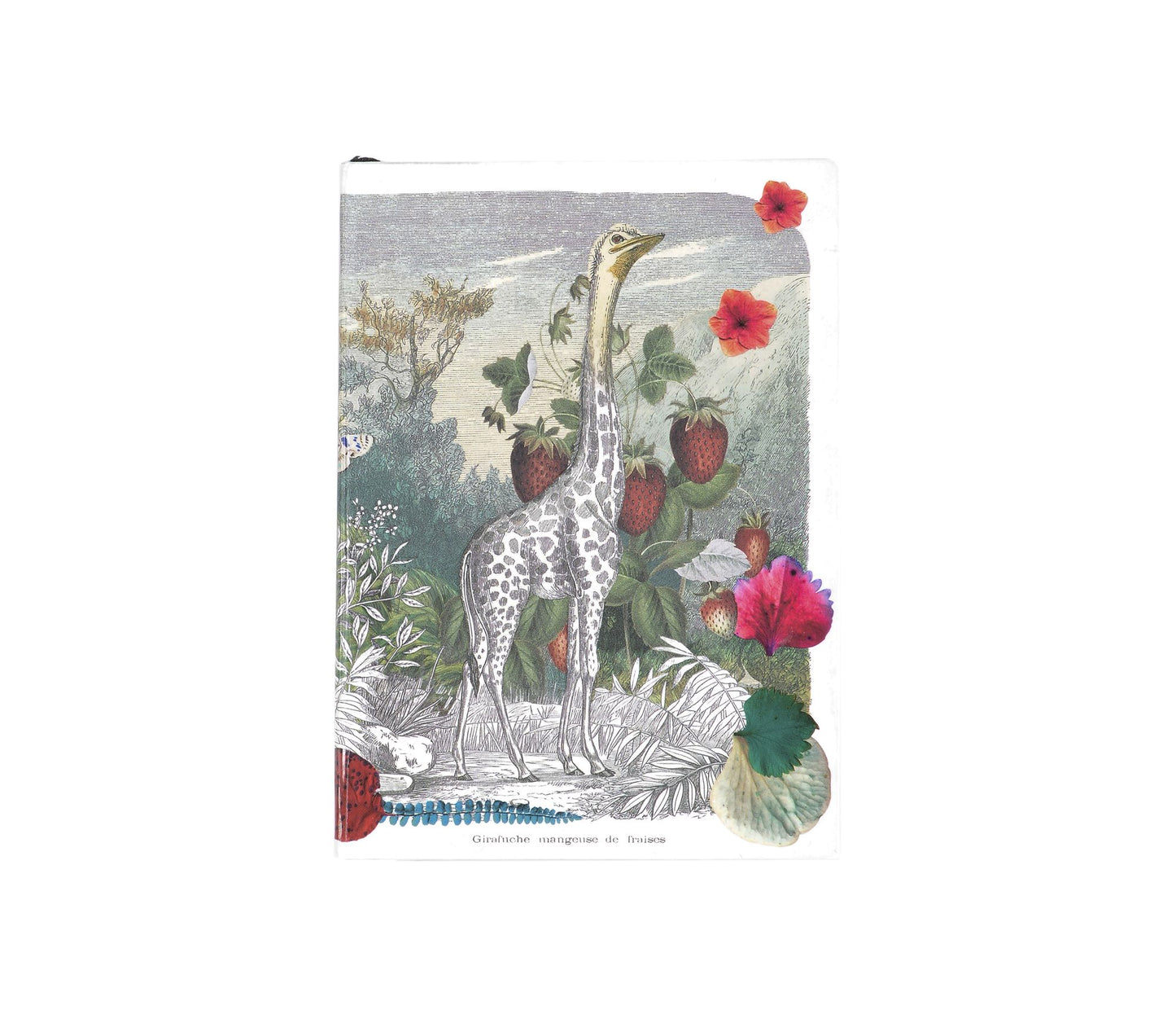 Christian LaCroix Wild Nature A6 6" X 4.25" Softcover Notebook