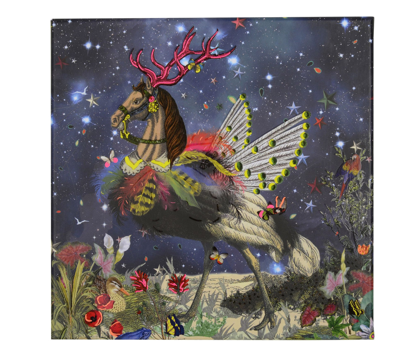 Christian LaCroix Crazy Horse Diecut Boxed Notecards
