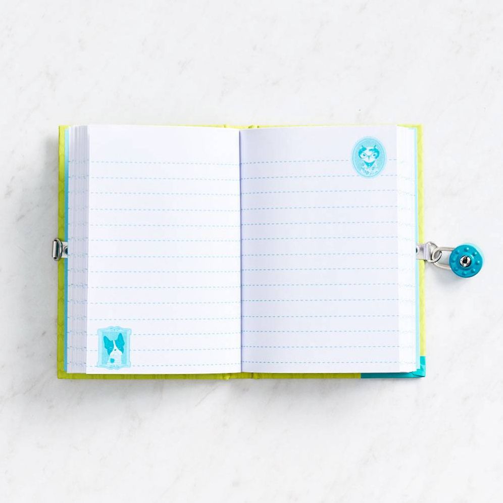 Pet Portraits Locked Diary