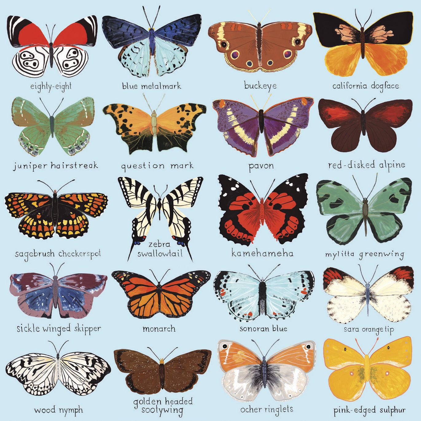 Butterflies of North America 500 Pc Puzzle