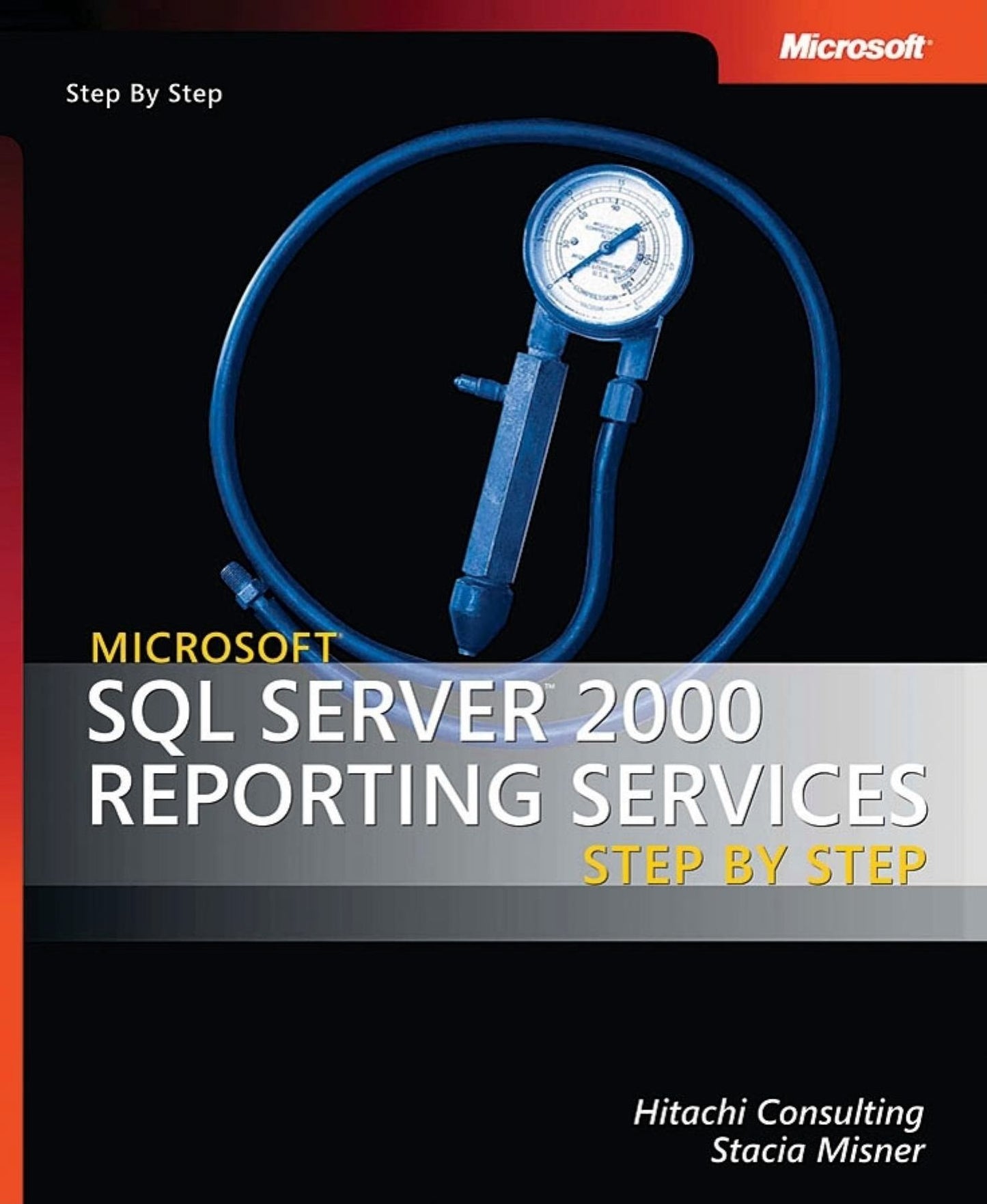 Microsoft SQL Server 2000 Reporting Services Step by Step (Step-by-Step Series)