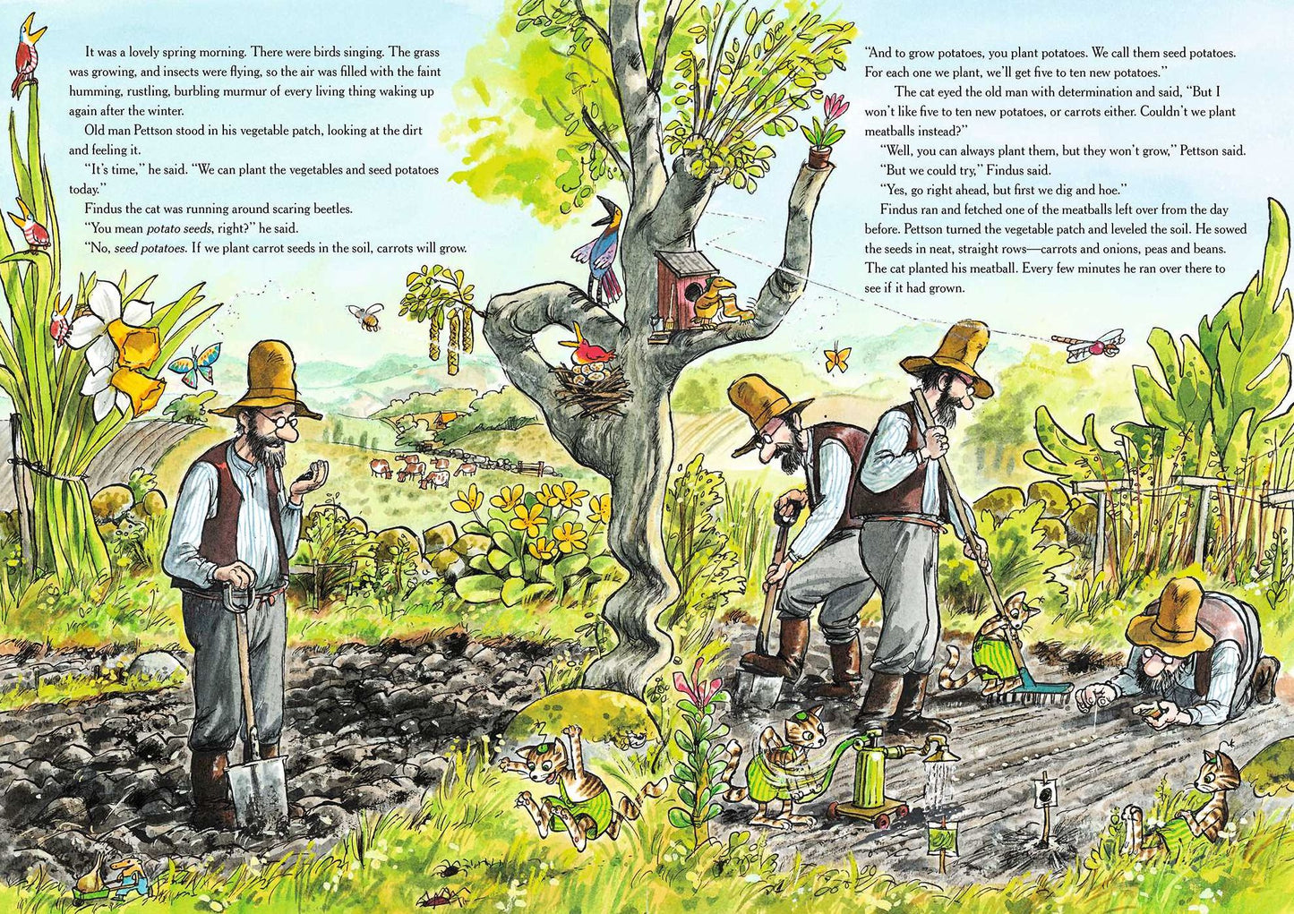 A Ruckus in the Garden: The Adventures of Pettson and Findus