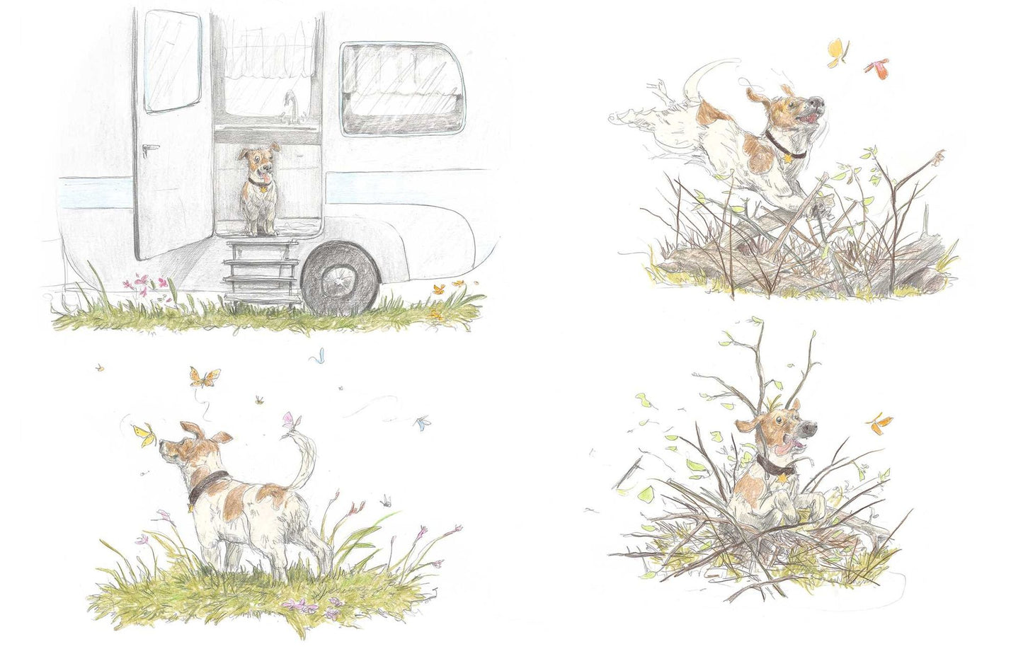 Mr. Squirrel and the King of the Forest