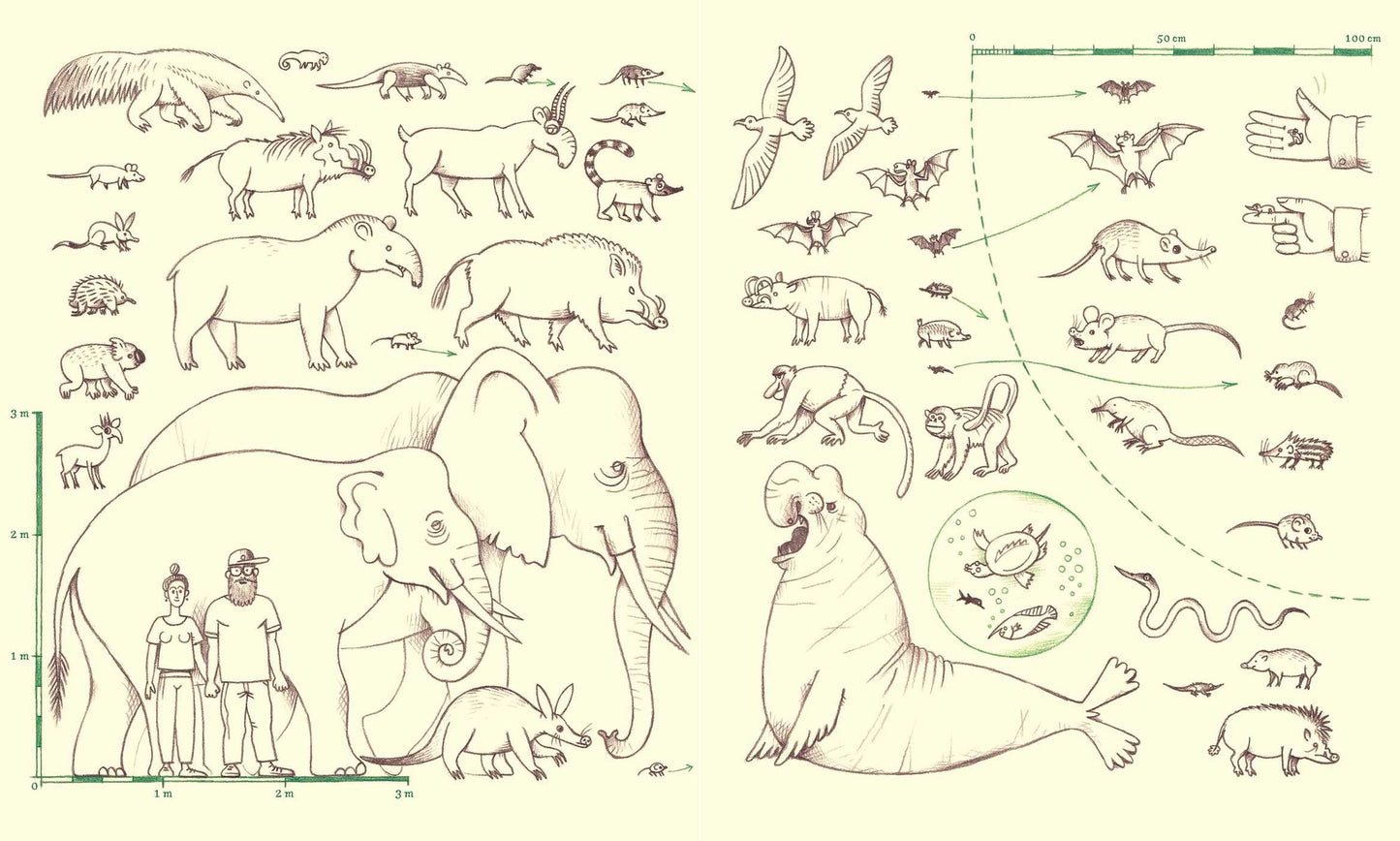 Genius Noses: A Curious Animal Compendium