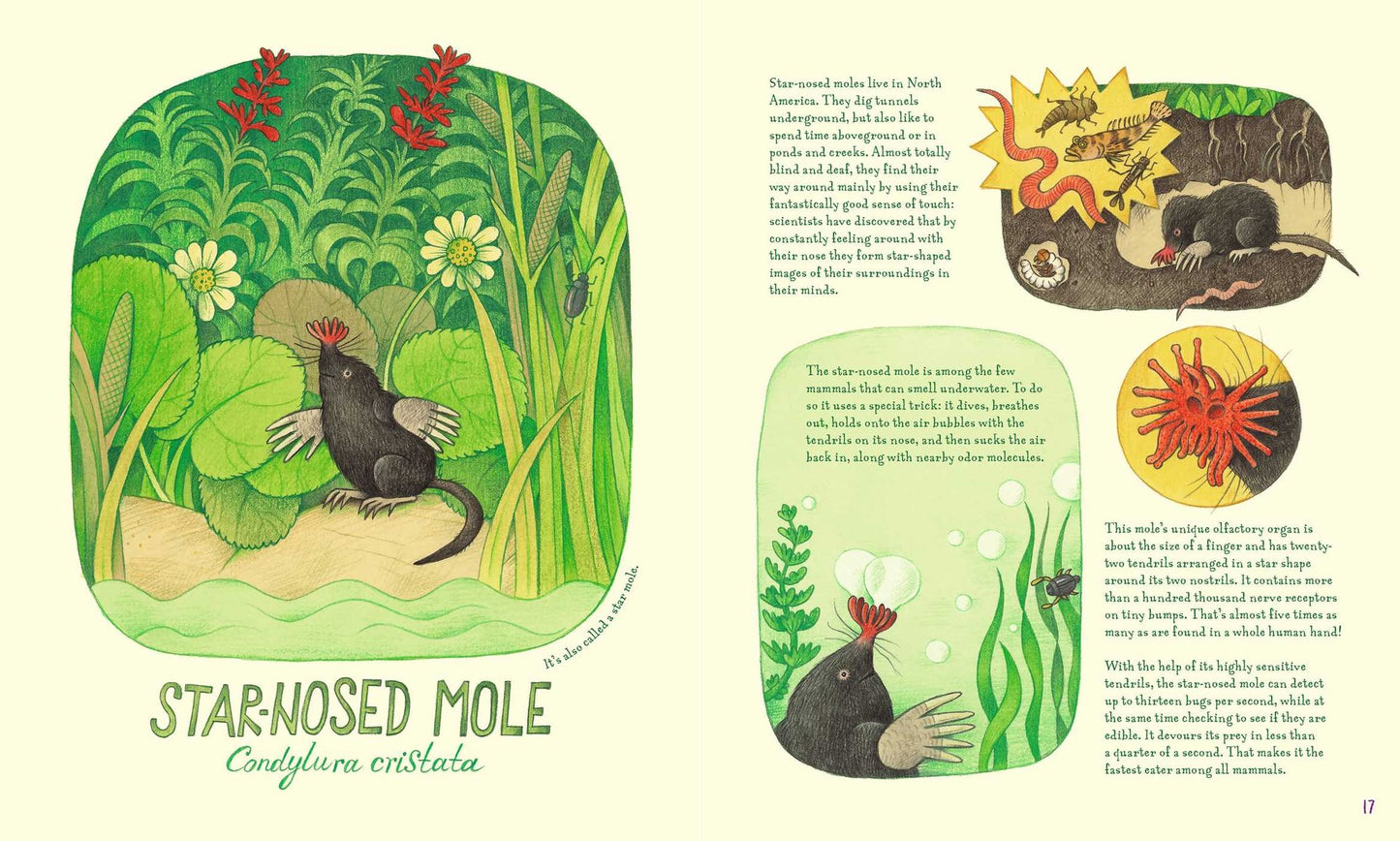 Genius Noses: A Curious Animal Compendium