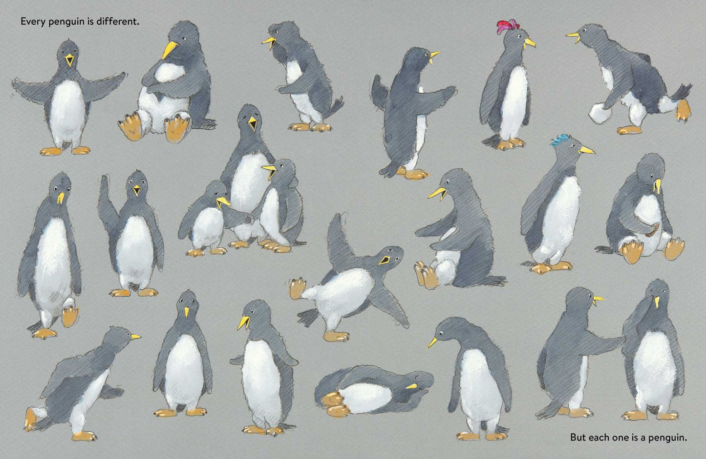 A Penguin Like Me