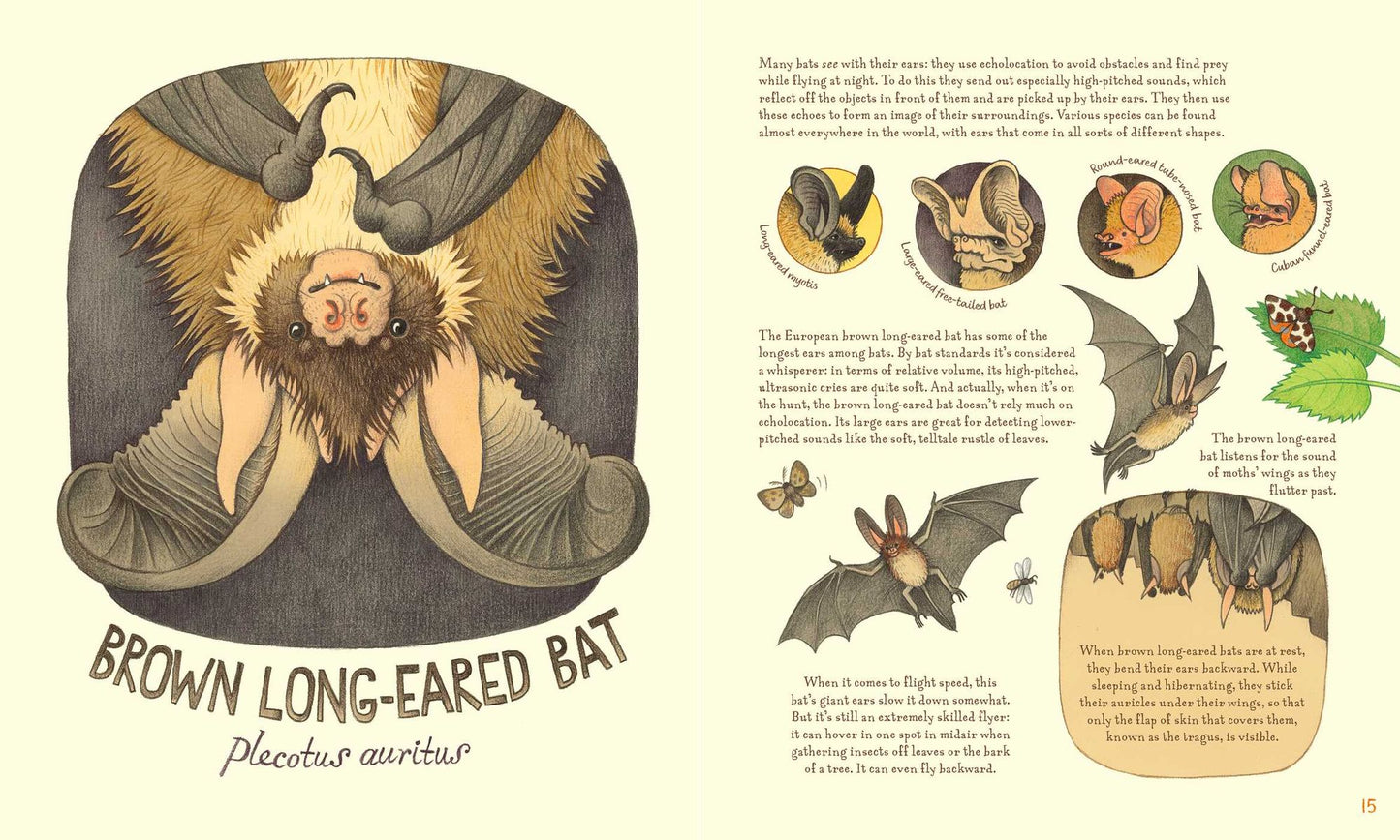Genius Ears: A Curious Animal Compendium