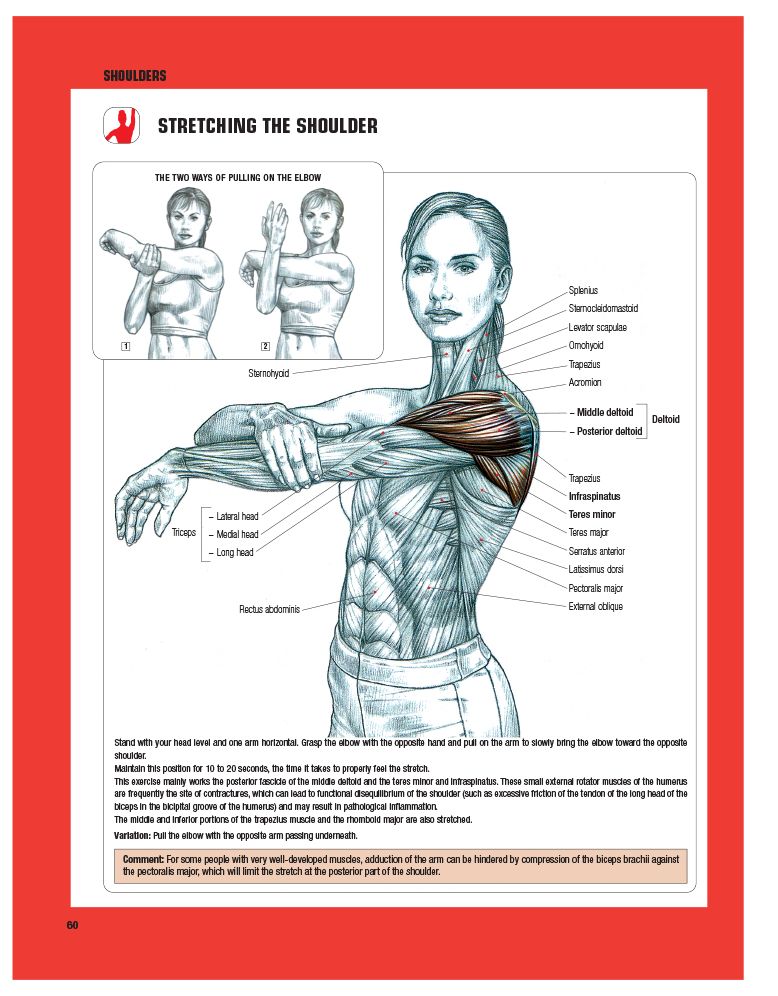 Strength Training Anatomy-3rd Edition