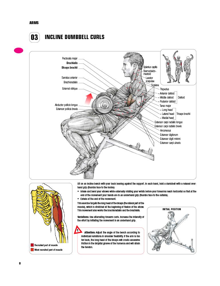 Strength Training Anatomy-3rd Edition