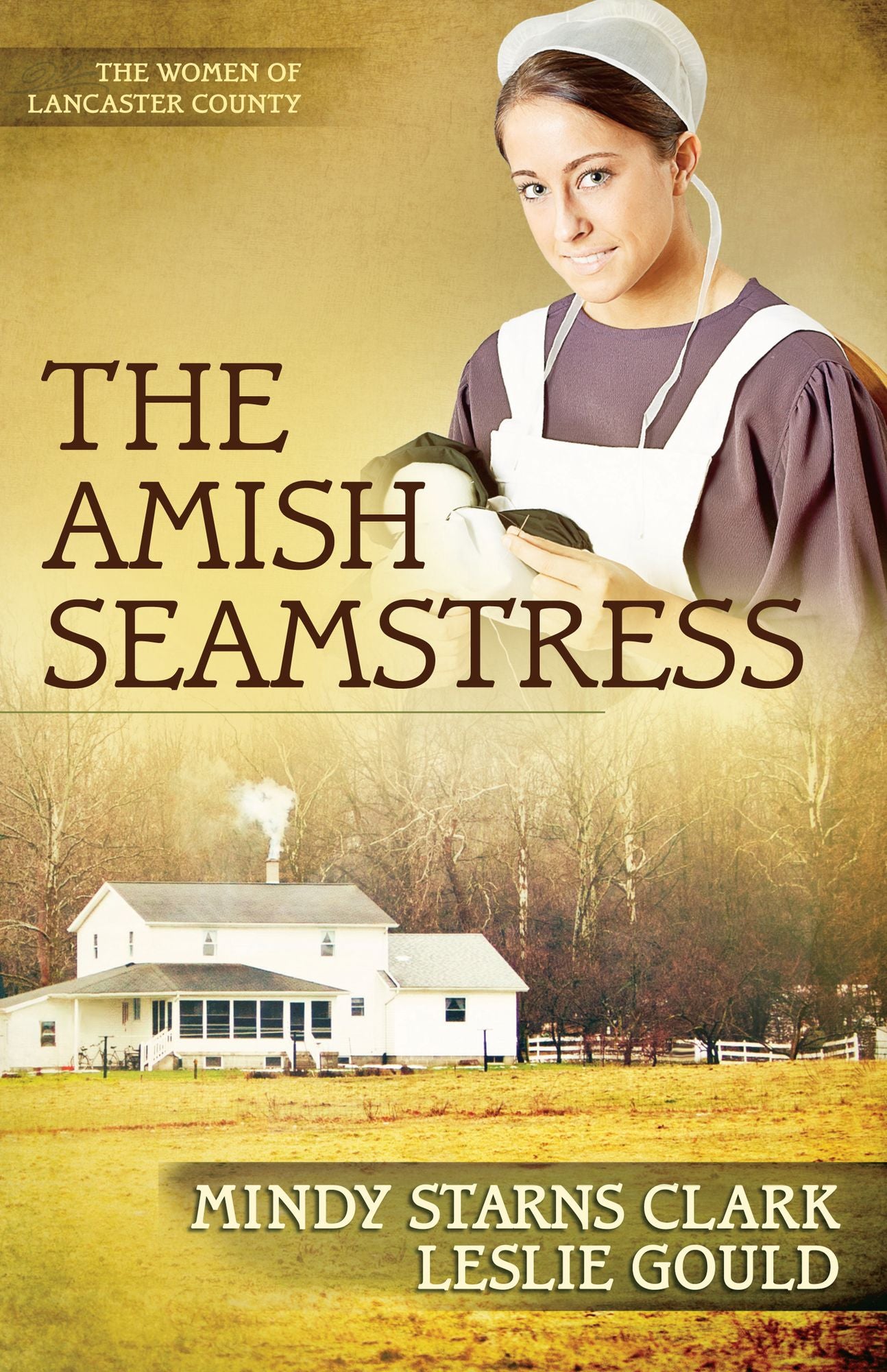 The Amish Seamstress (Women of Lancaster County Series #4)