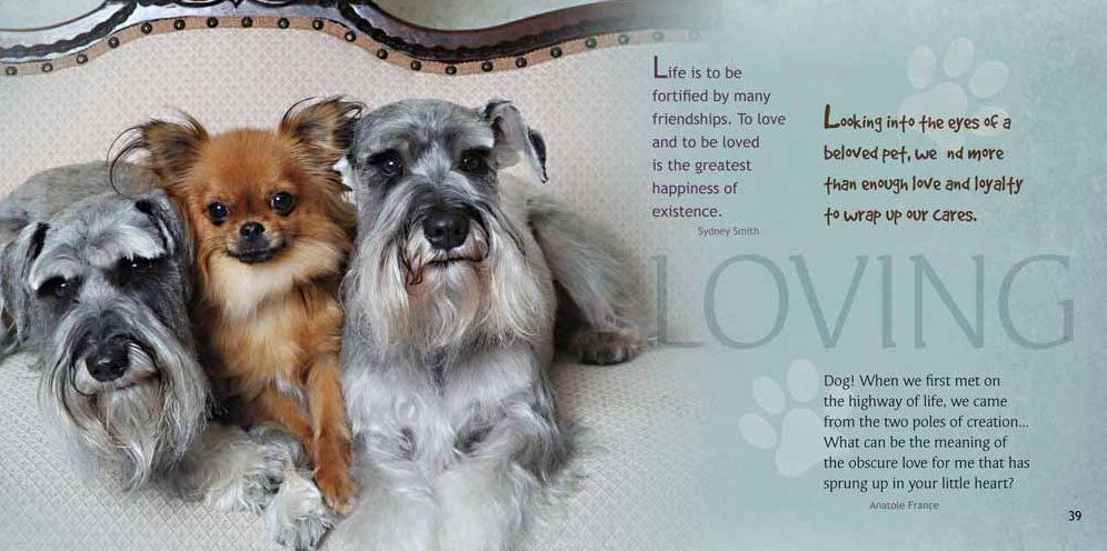 A Friendship to Bark About
