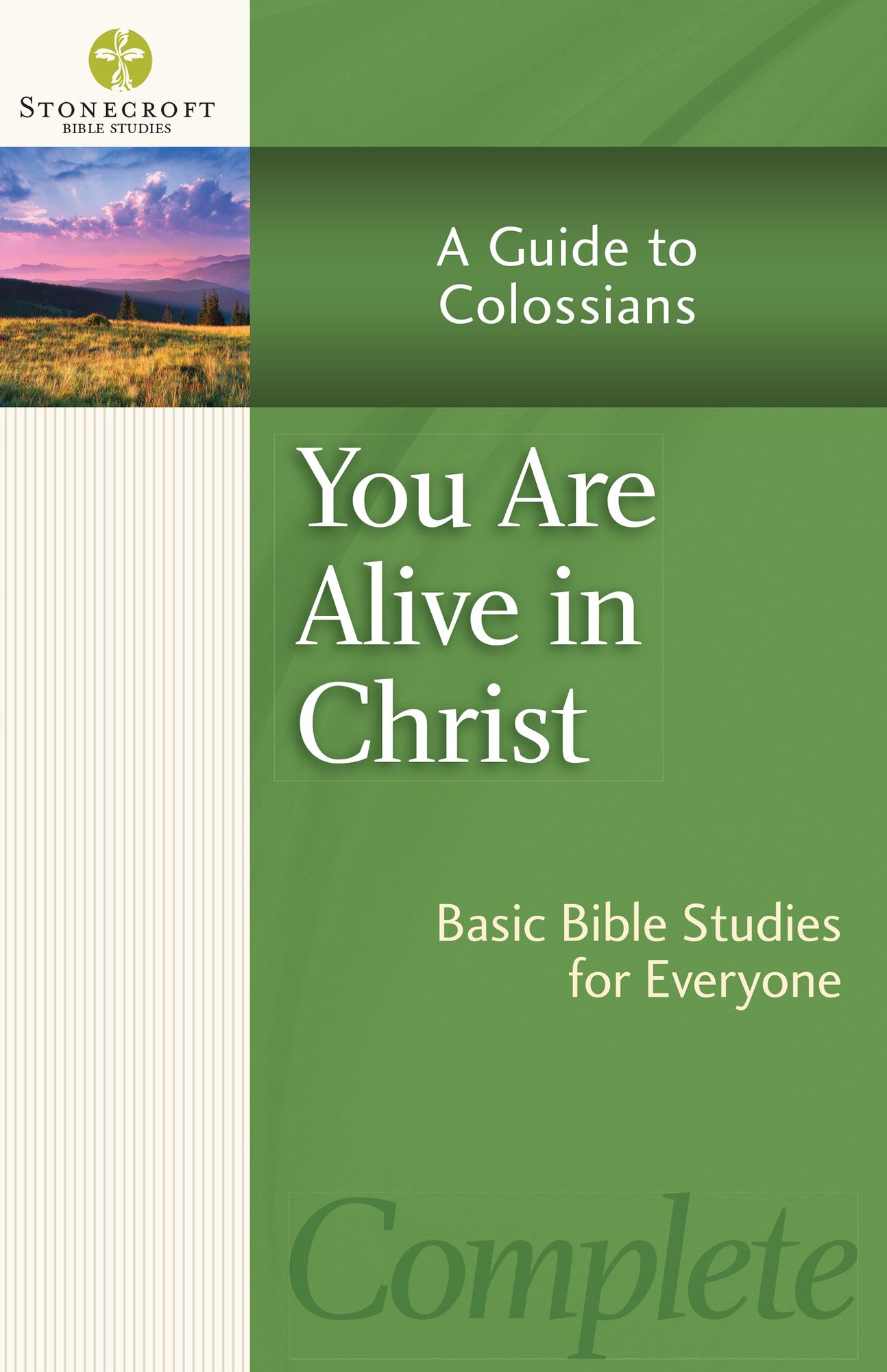 You Are Alive in Christ: A Guide to Colossians