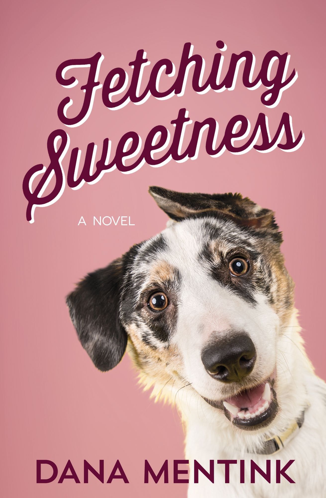 Fetching Sweetness (Love Unleashed Series #2)