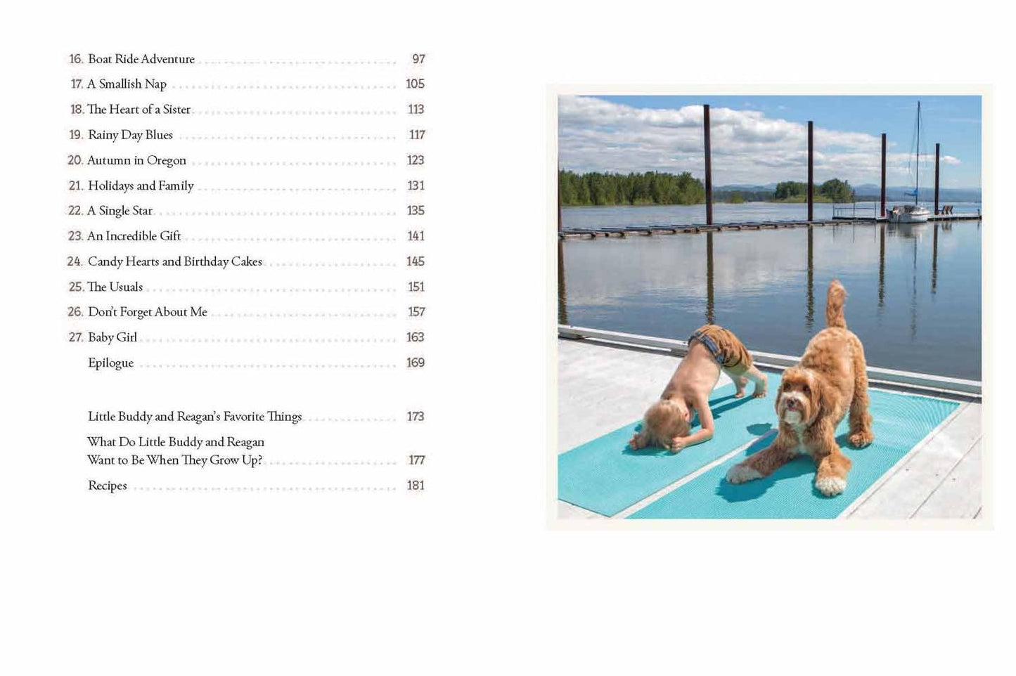 Reagandoodle and Little Buddy: The True Story of a Labradoodle and His Toddler Best Friend