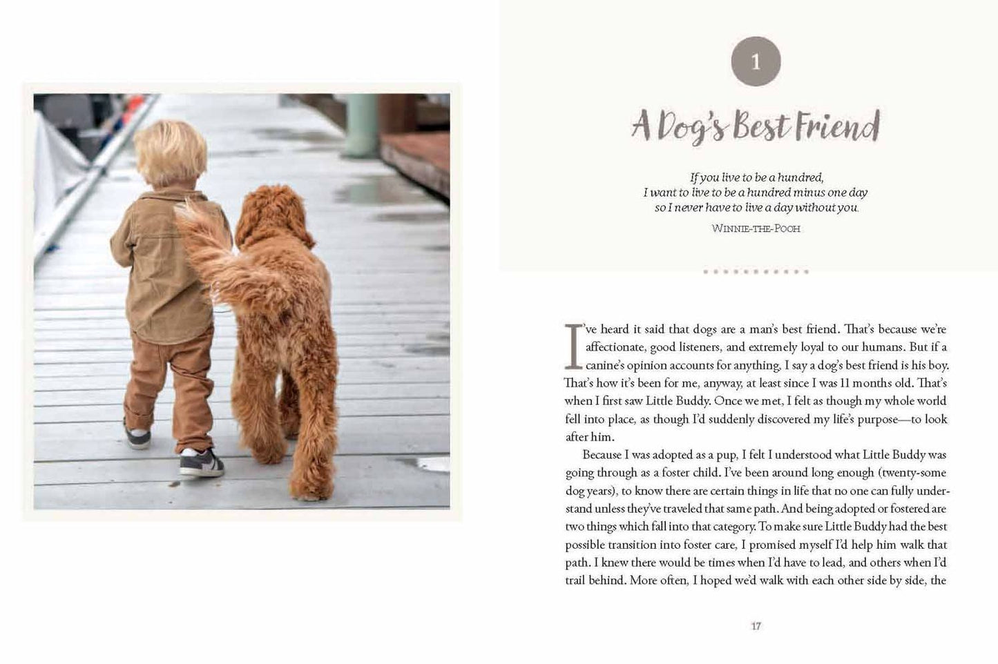 Reagandoodle and Little Buddy: The True Story of a Labradoodle and His Toddler Best Friend
