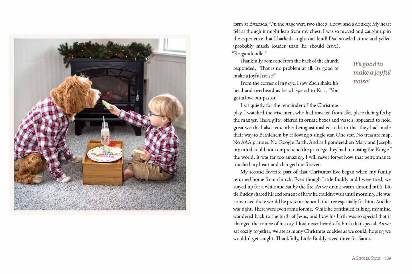 Reagandoodle and Little Buddy: The True Story of a Labradoodle and His Toddler Best Friend
