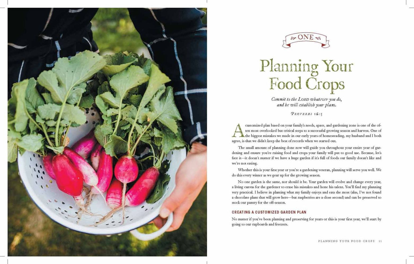The Family Garden Plan : Grow a Year's Worth of Sustainable and Healthy Food