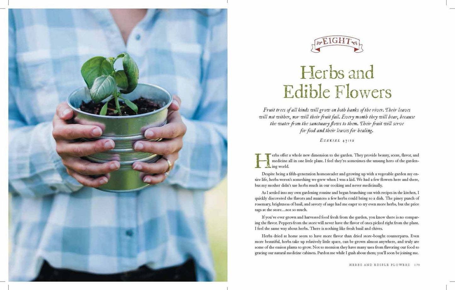 The Family Garden Plan : Grow a Year's Worth of Sustainable and Healthy Food