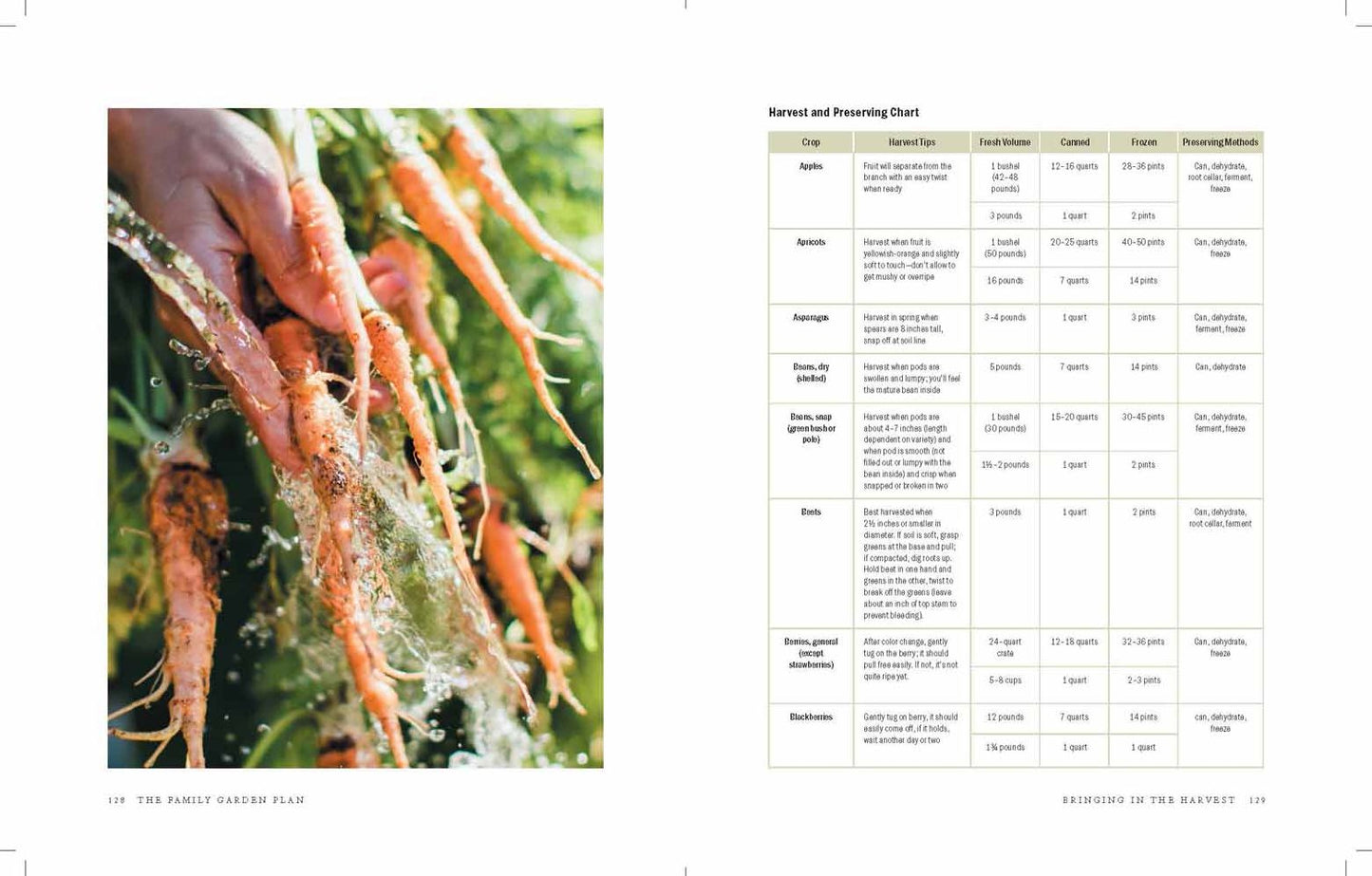 The Family Garden Plan : Grow a Year's Worth of Sustainable and Healthy Food