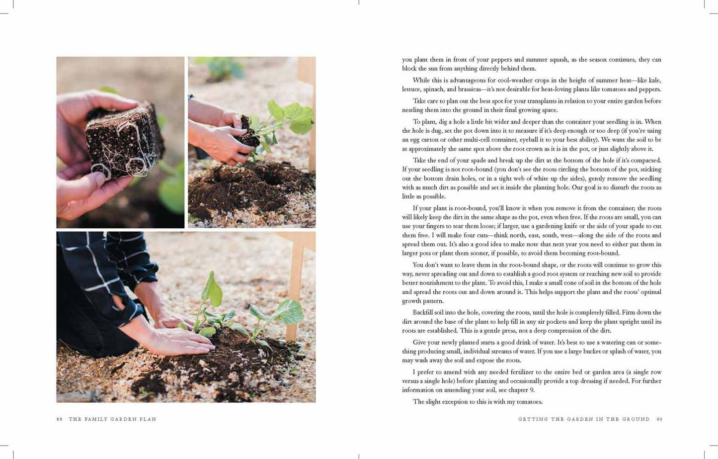 The Family Garden Plan : Grow a Year's Worth of Sustainable and Healthy Food