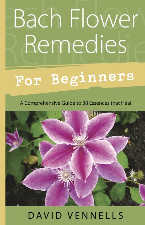 Bach Flower Remedies for Beginners: 38 Essences that Heal from Deep Within