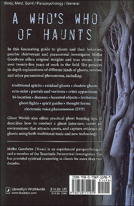 Ghost Worlds: A Guide to Poltergeists, Portals, Ecto-Mist, & Spirit Behavior