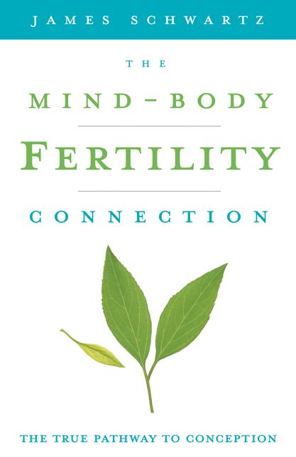 Mind-Body Fertility Connection: The True Pathway to Conception