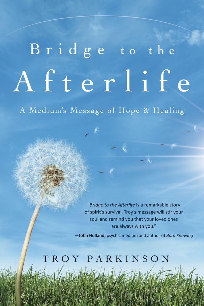 Bridge to the Afterlife: A Medium's Message of Hope and Healing