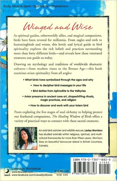 The Healing Wisdom of Birds: An Everyday Guide to Their Spiritual Songs and Symbolism