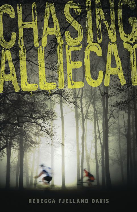 Chasing AllieCat
