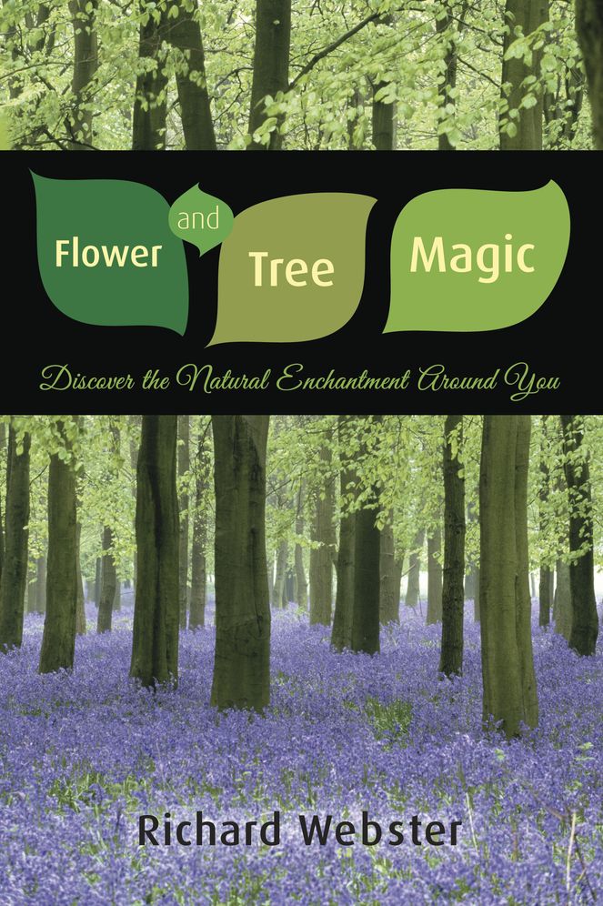 Flower and Tree Magic: Discover the Natural Enchantment Around You