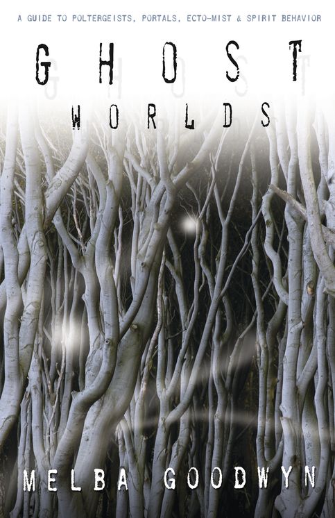 Ghost Worlds: A Guide to Poltergeists, Portals, Ecto-Mist, & Spirit Behavior