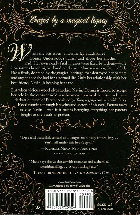 The Iron Witch (Iron Witch Series #1)