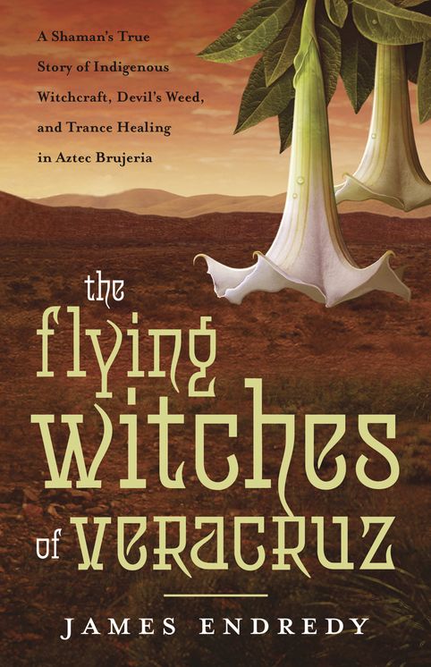 The Flying Witches of Veracruz: A Shaman's True Story of Indigenous Witchcraft, Devil's Weed, and Trance Healing in Aztec Brujeria