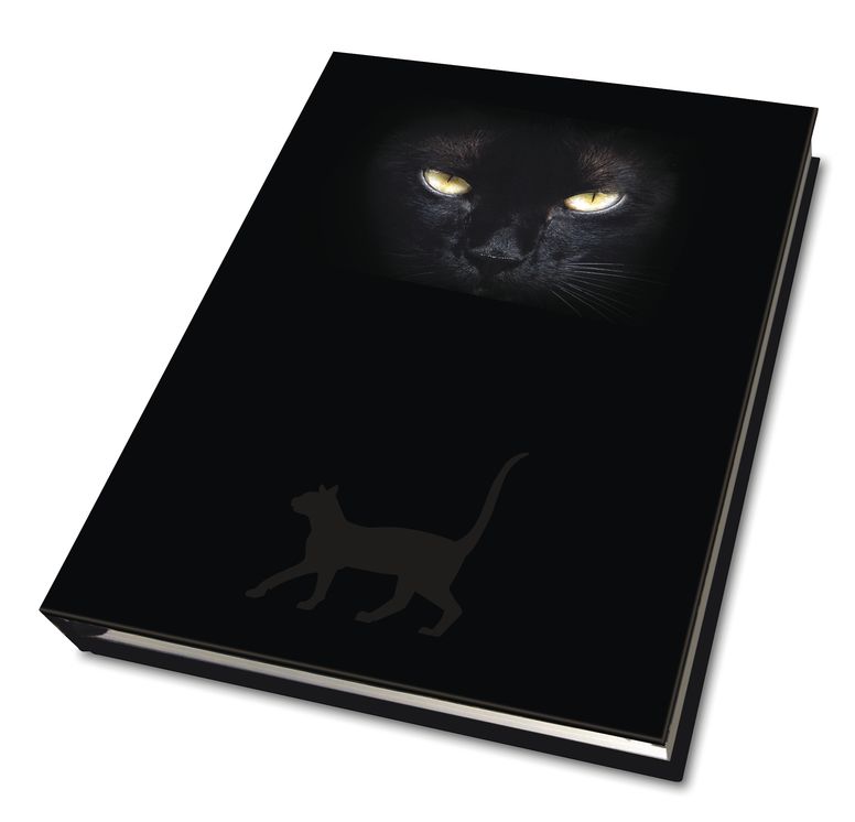 Cat's Eyes Journal