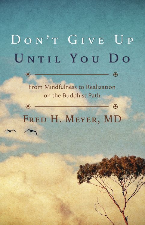 Don't Give Up Until You Do: From Mindfulness to Realization on the Buddhist Path