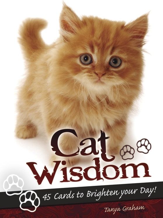 Cat Wisdom Cards