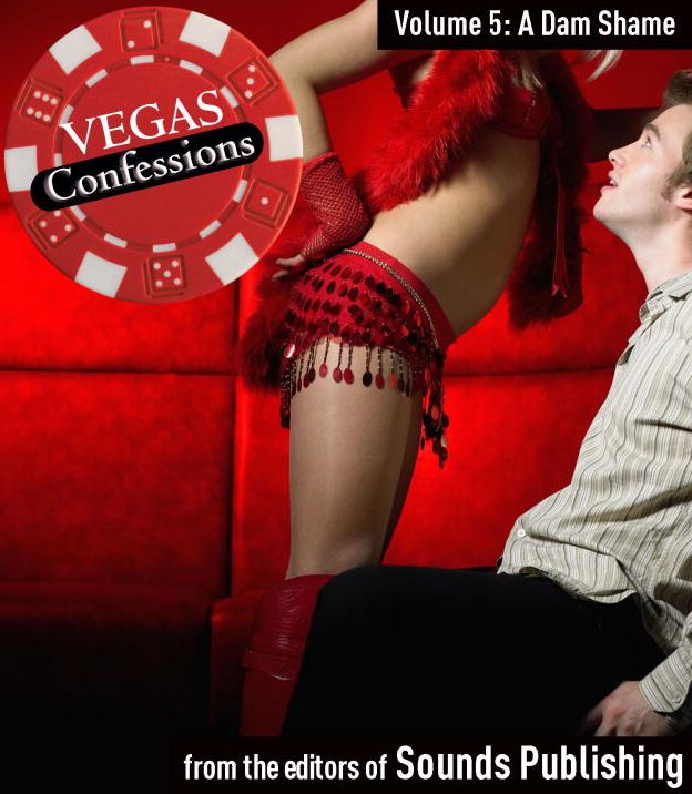A Dam Shame: From Vegas Confessions Series, Volume 5