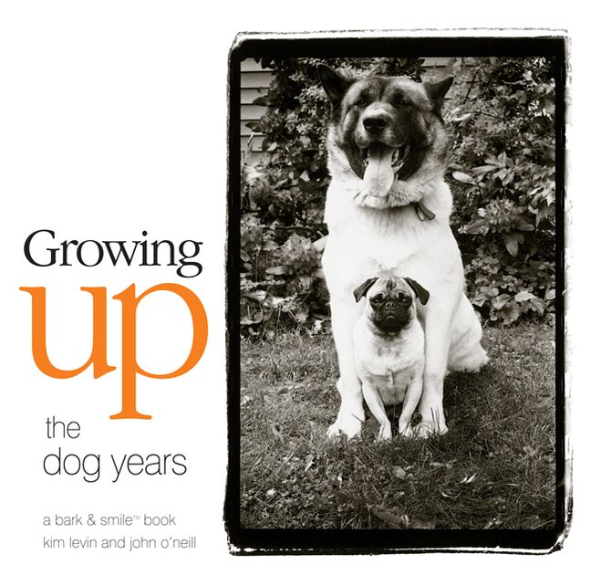 Growing Up: The Dog Years