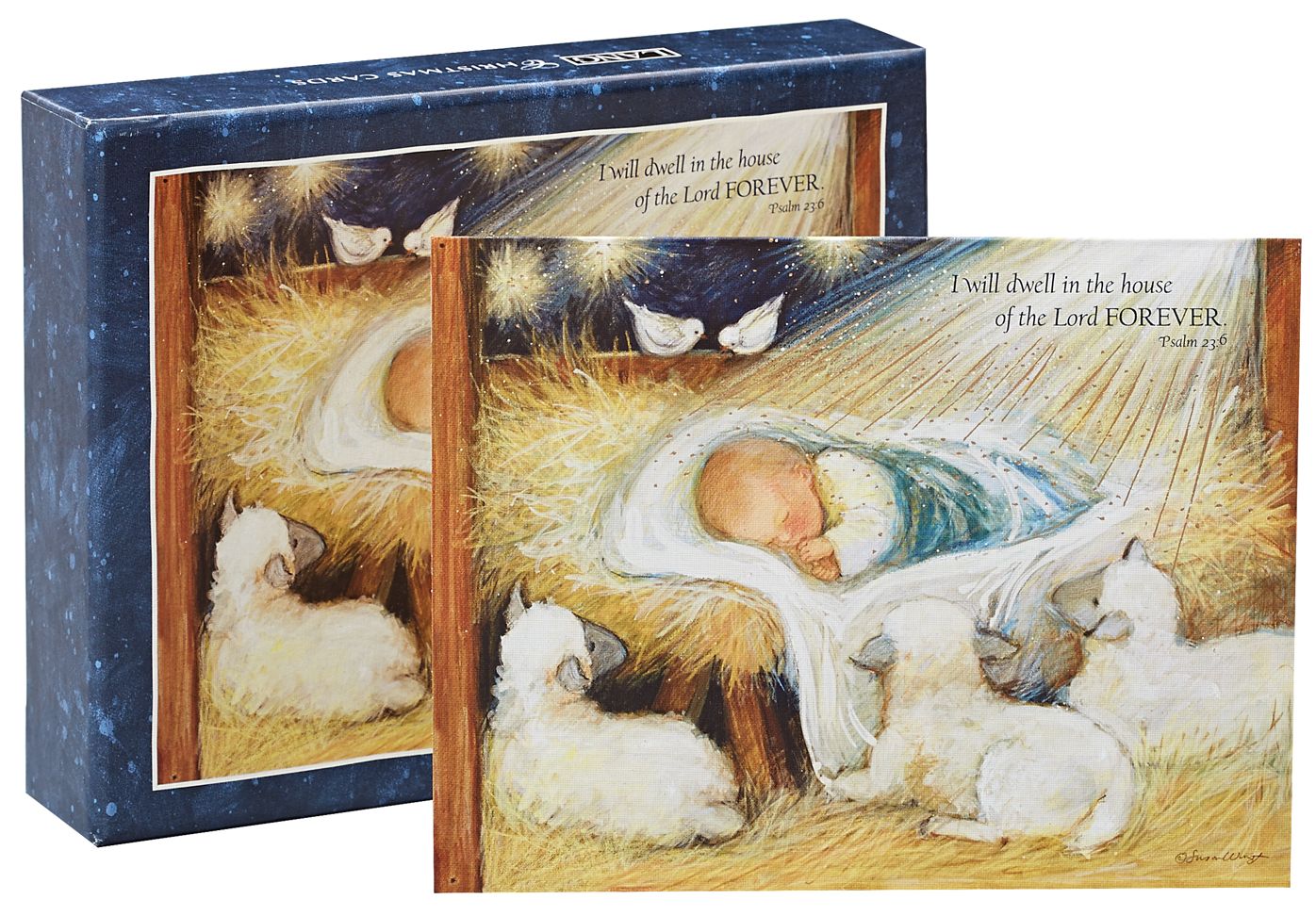Forever Christmas Boxed Cards