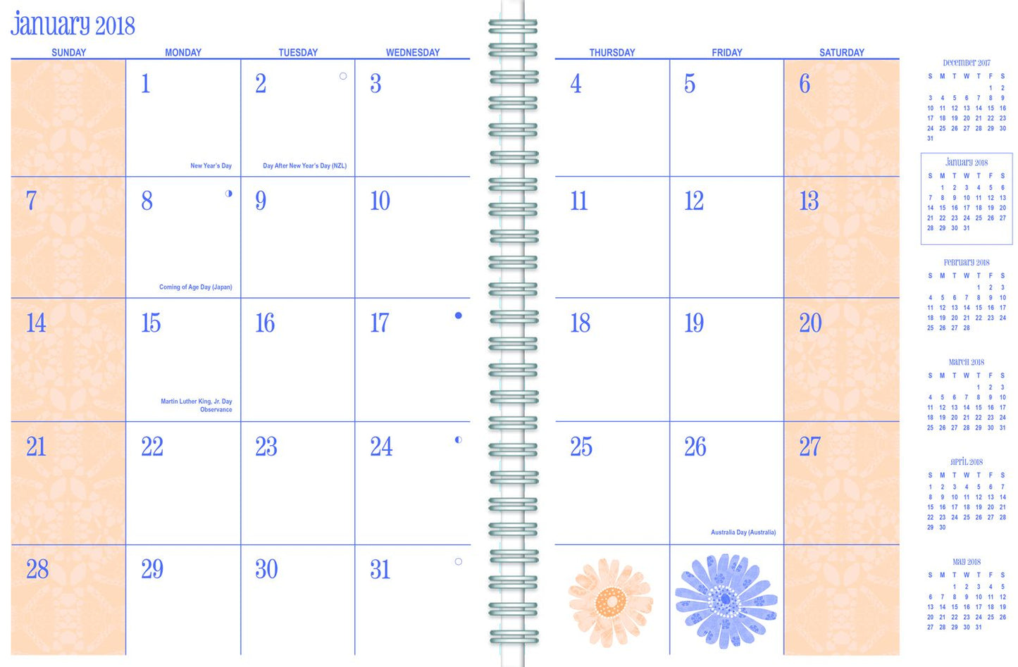 2018 LADYBIRD DELUXE PLANNER